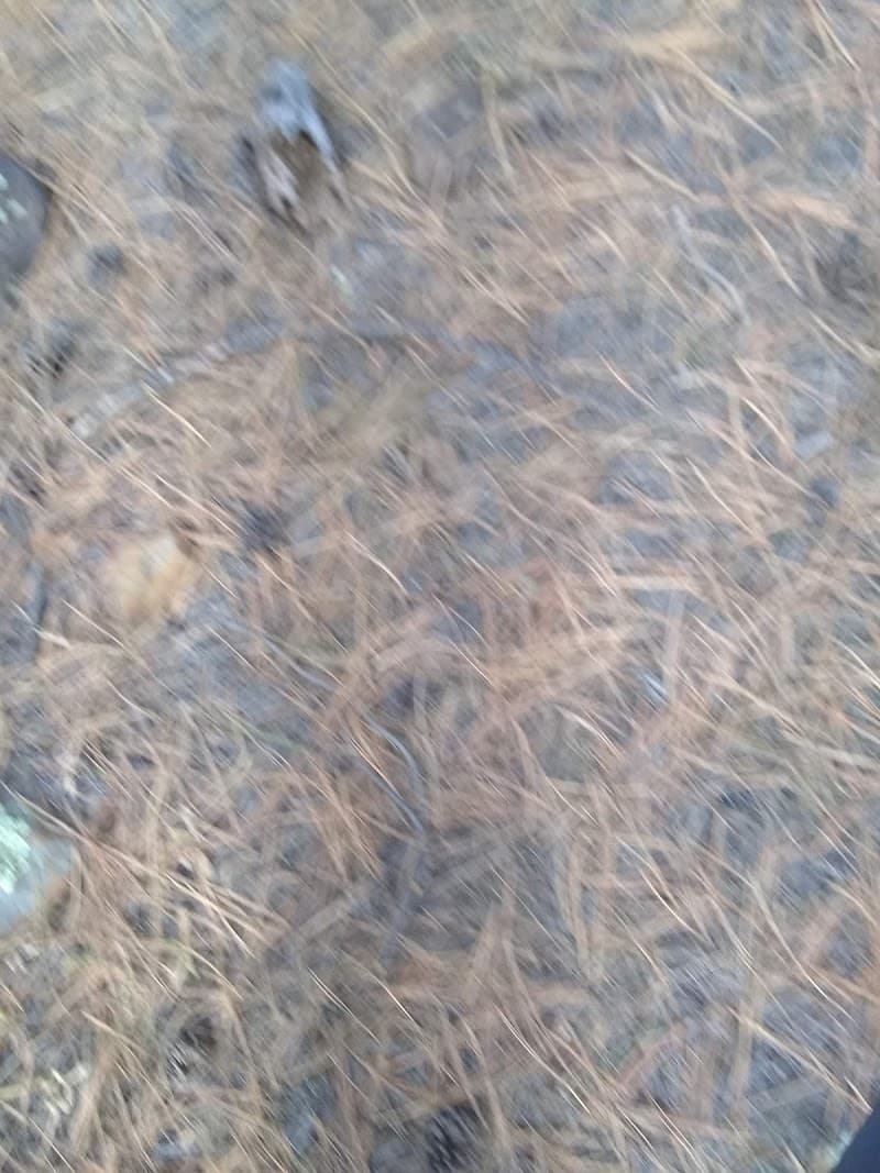 Tunnel Spring Trail